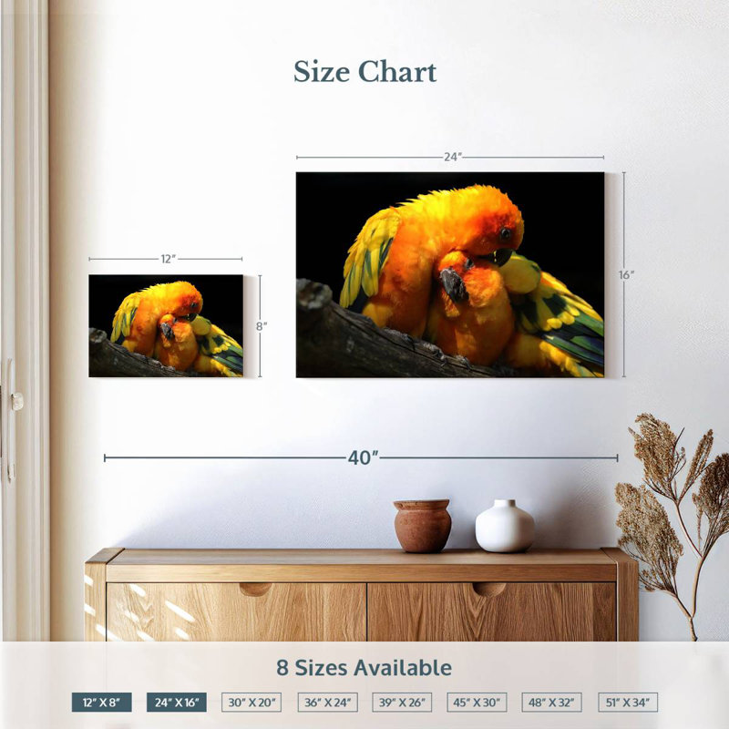 Crowle Perched Parrot Pair, 16" H x 24" W