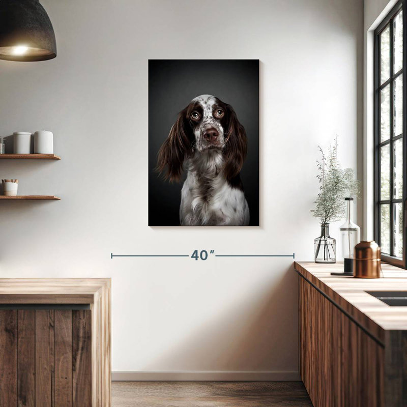 Adorable setter anglais, H 36 po x l 24 po