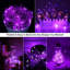 Lumières mauves d'Halloween