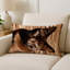 Coussin décoratif intérieur et extérieur Turkish Angora Cats-115067839-115067836