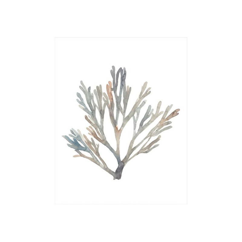 «Water Colored Seaweed VI» par Guseul Park - impression, H 50 po x l 40 po x P 1,5 po, Image au pinceau gel