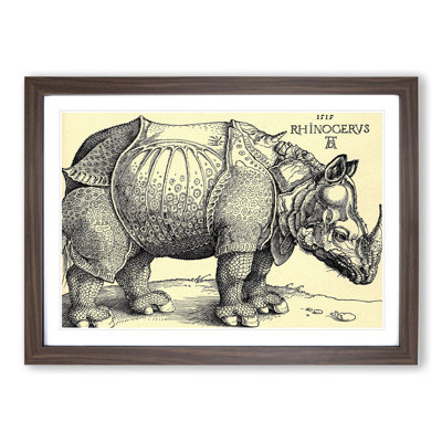 Rhinoceros by Albrecht Durer - Picture Frame Painting