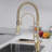 Homary Pull Out Kitchen Faucet