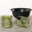 Fern Leaf Rock Glasses, Set of 6