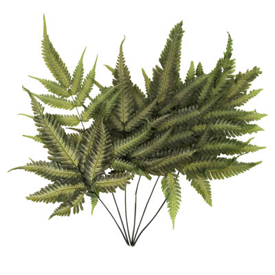 0,0625 plante