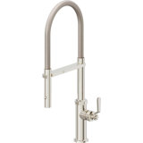 Culinary Pull-Out Kitchen Faucet With Button Sprayer