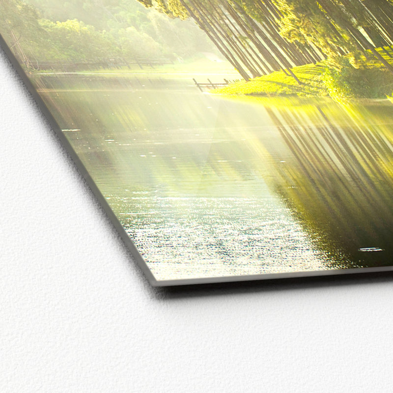 Forest Atmosphere III - No Frame Print on Glass, 80cm H x 80cm W x 1.3cm D, Glass