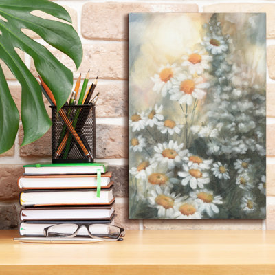Toile épique Graffiti «Daisy Dreams» par Leslie Trimbach, 12 po x 18 po