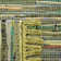 Declan Rug Hand Woven Cotton Solid Color Rug