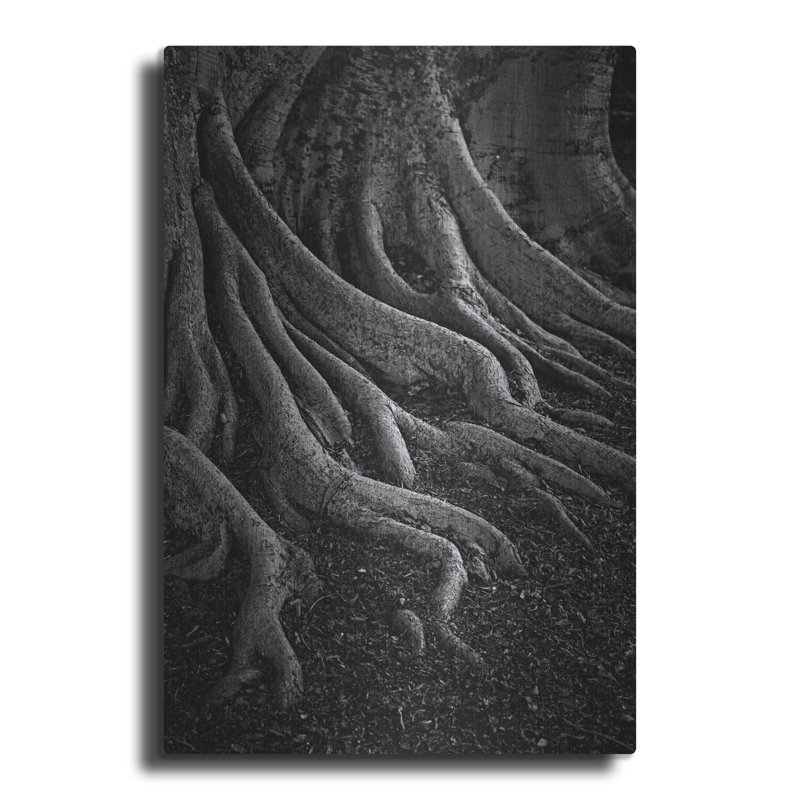 Entrenched' by SD Smart, Metal Wall Art, 16" H x 12" W