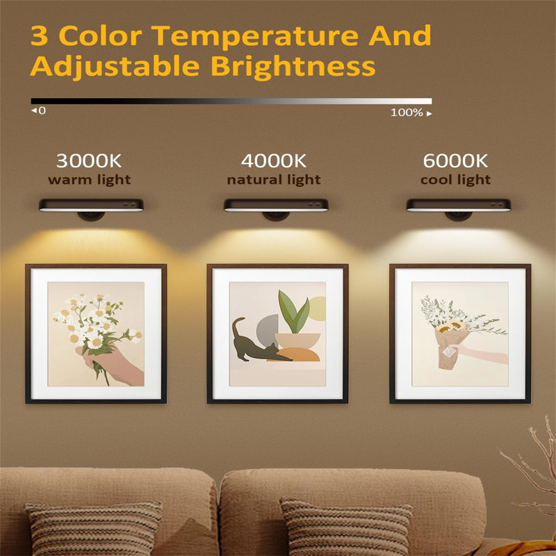 Battery Powered LED Wall Mount Picture Light