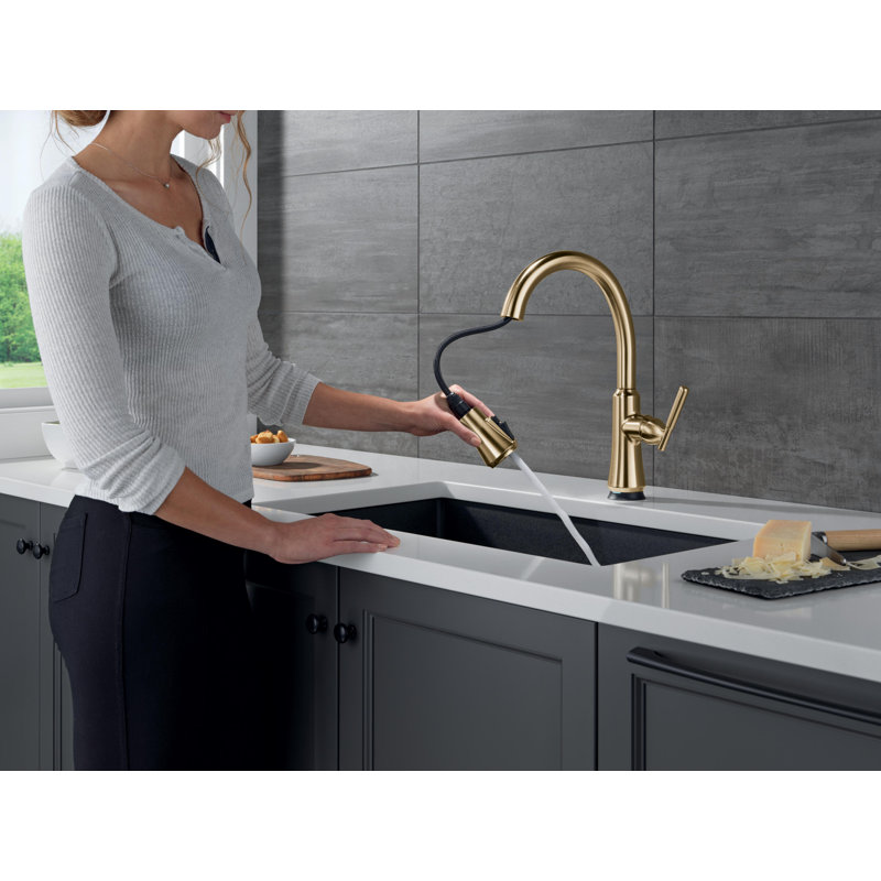 Touch2O Kitchen Faucet with Touchless Technology, Gold