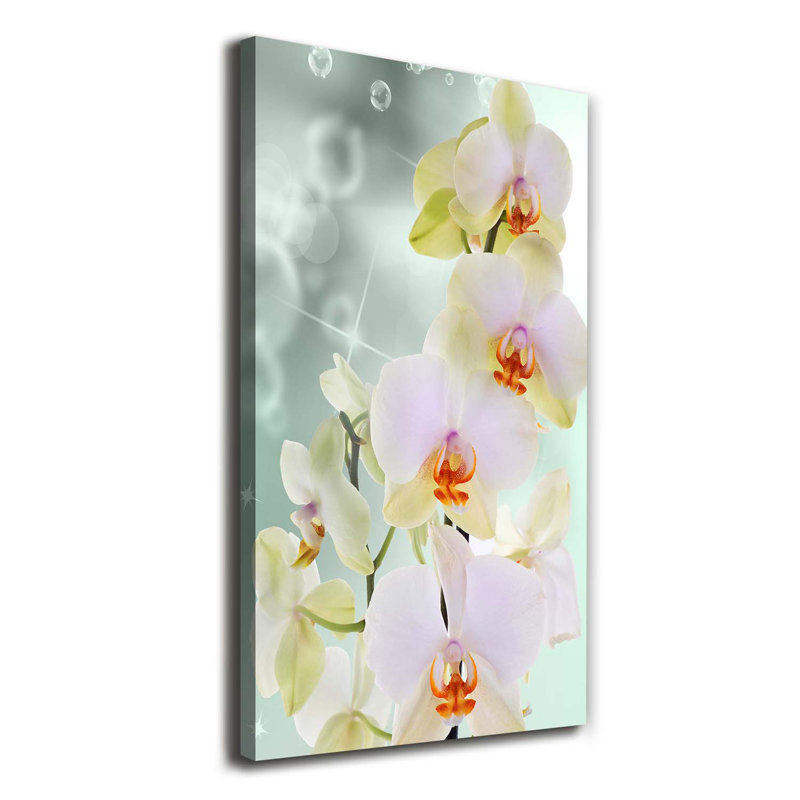 Orchid - Wrapped Canvas Print