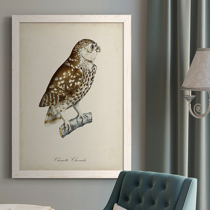 Lunde French Owls I - Reproduction de photo sur toile simple, Cadre blanc, H 43,5 po x l 31,5 po x P 1 po