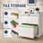 Bizoe 2-Drawer Metal Lateral File Cabinet with Lock, Full Extension Drawers with Hanging Rods for Letter Legal F4 and A4-1063024668