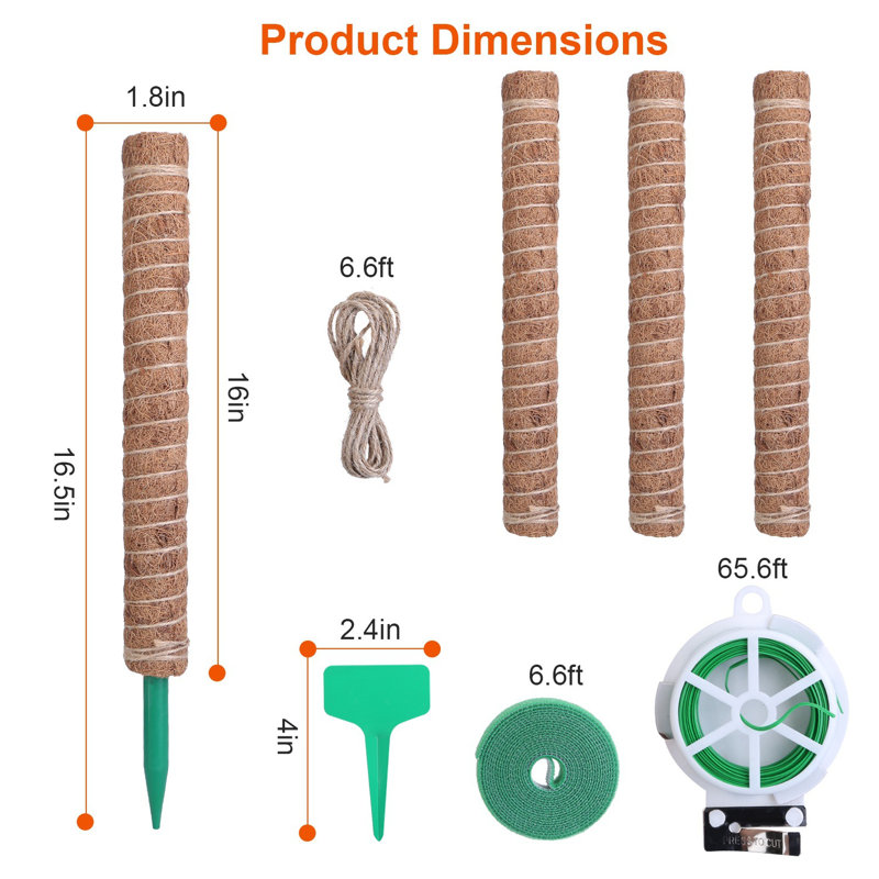 Treillis arqué en bois H 1,8 po x l 1,8 po Rhylee