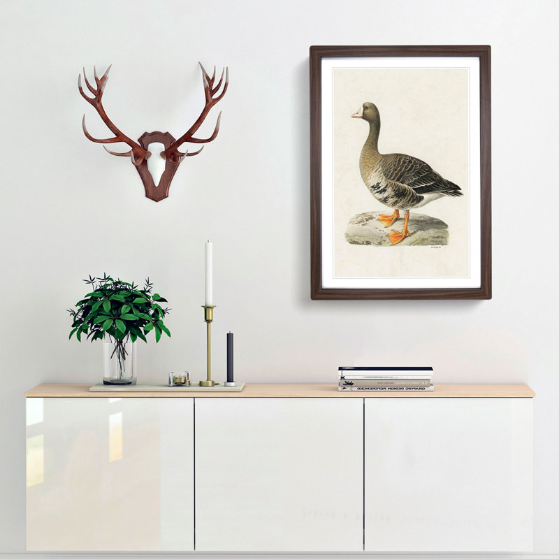 White-Fronted Goose by Von Wright - Framed Print, Walnut, 50cm H x 35cm W x 2cm D