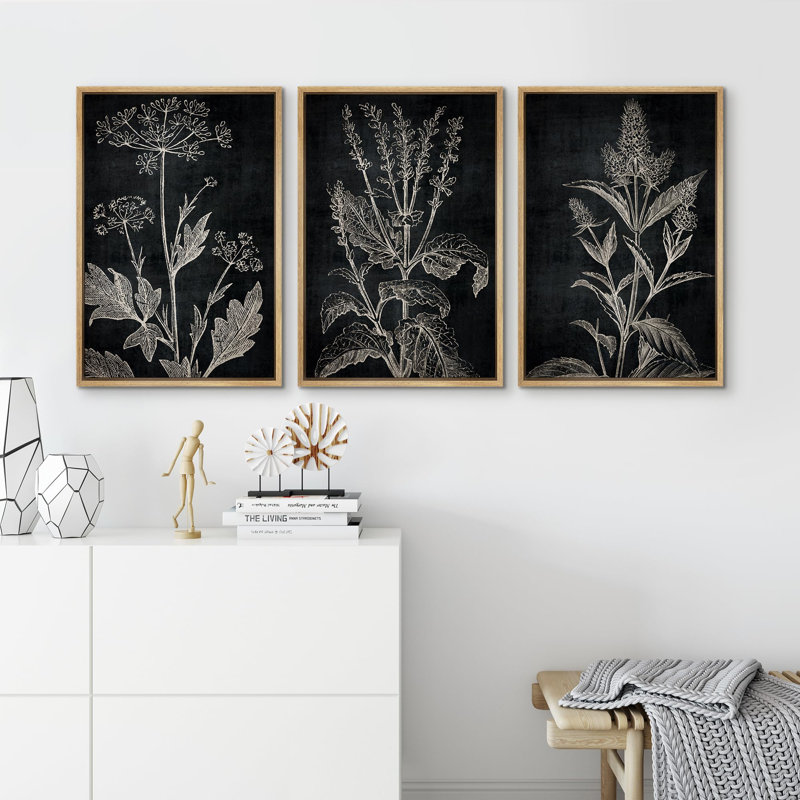 "Croquis botaniques noir et blanc, plantes élégantes, illustrations, art moderne, salon", 3 pièces, Naturel