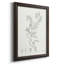 «Botanical Study in Sage II», reproduction d'art sur toile-480077638