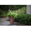 Grand pot à fleurs Miley-69011523-120461817