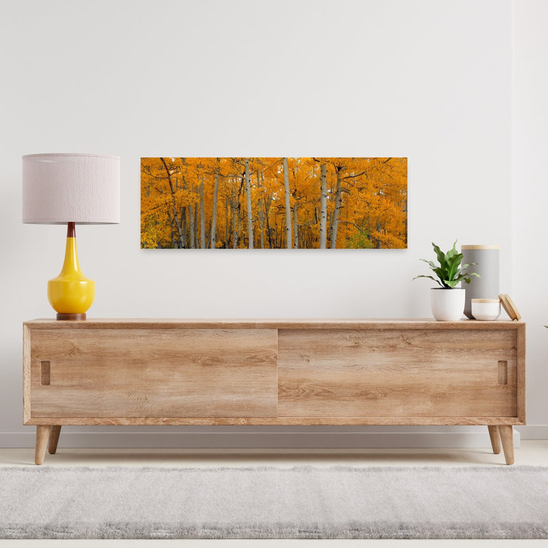 Quaking Aspens Dixie National Forest UT by John Shaw - Wrapped Canvas Panoramic Print, 30.48 cm H x 91.44 cm W