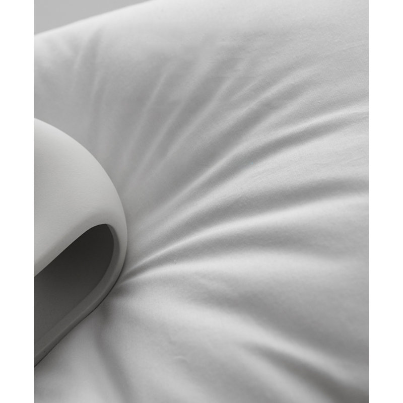 Goose Down Plush Support Pillow (set of 2), Standard