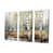 Toile tendue