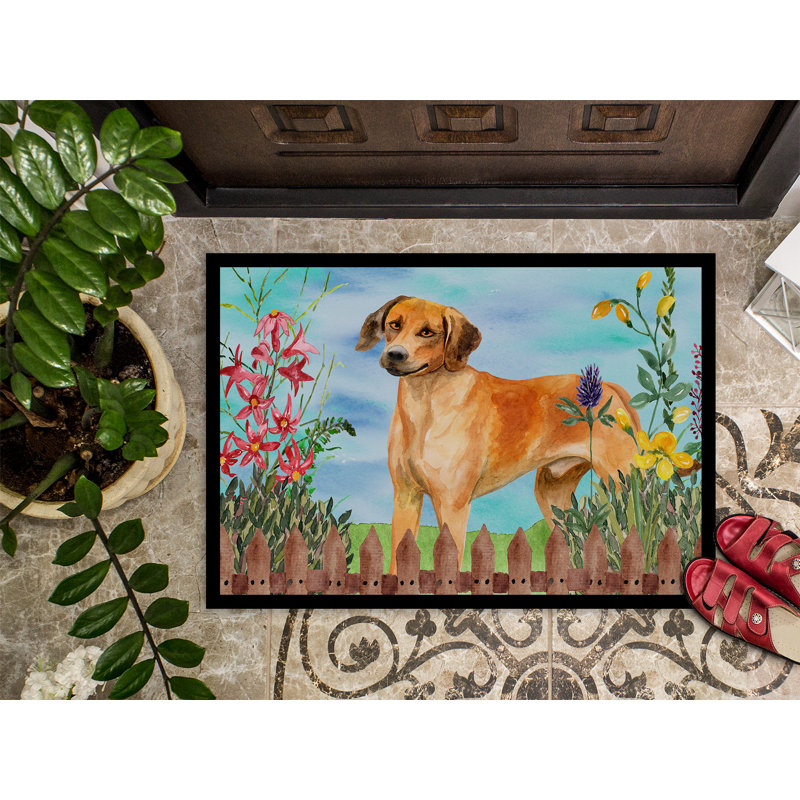 Tapis de porte pour l’extérieur antidérapant rhodesian ridgeback spring, Rectangle 24 po x 36 po