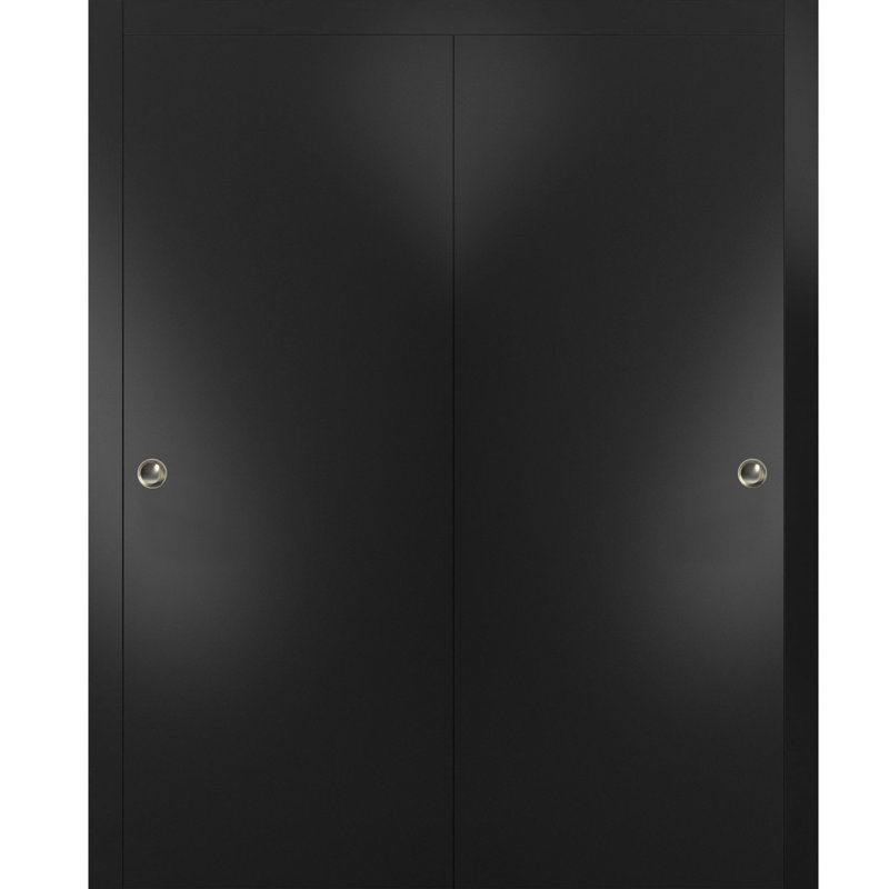 Portes coulissantes en bois Planum, 60" x 96", Noir mat