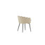 Bryton Velvet Side Chair
