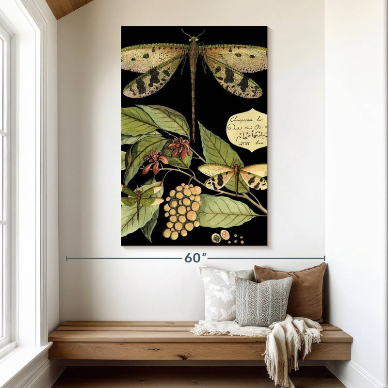 Keiri Whimsical Dragonfly On Black I, 51" H x 34" W