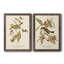 Parure en bois vert à gorge noire - ensemble de 2 reproductions d'art sur toiles-2085752840-2085752841