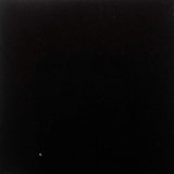 Velvet Performance Fabric By The Yard | 100% Cotton | Belgium