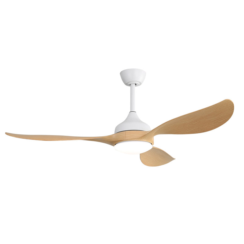 56 Inch Modern Ceiling Fans Dimmable LED Light Quiet DC Reversible Motor For Indoor & Outdoor