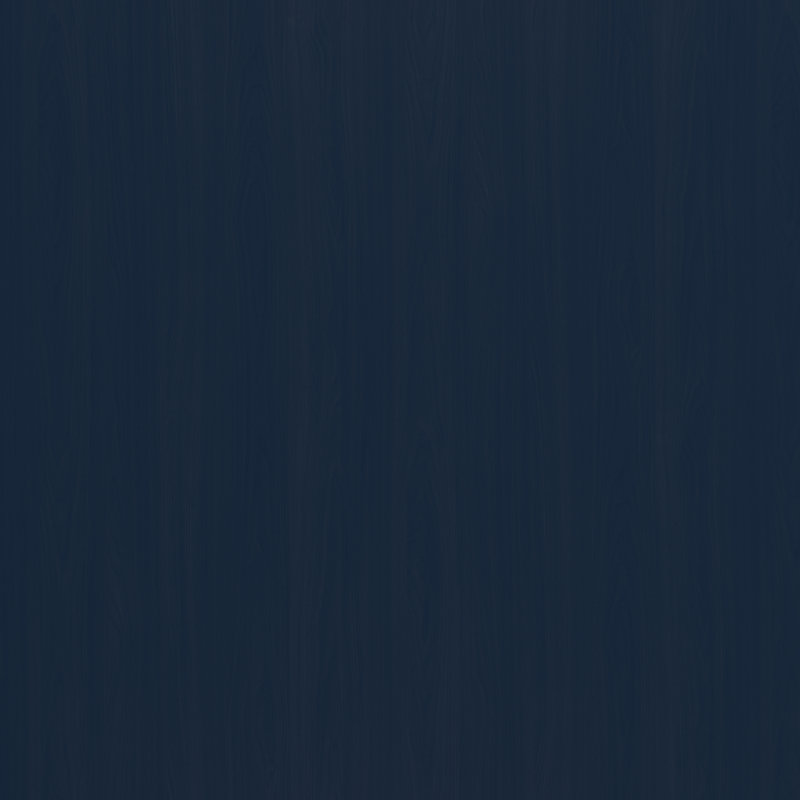 Harold Kids Full Loft Bed, Navy