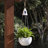 Hanging Planter-98582906