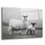 Art mural en verre épique «Islay Sheep 1» par Laura Marshall-1394920054