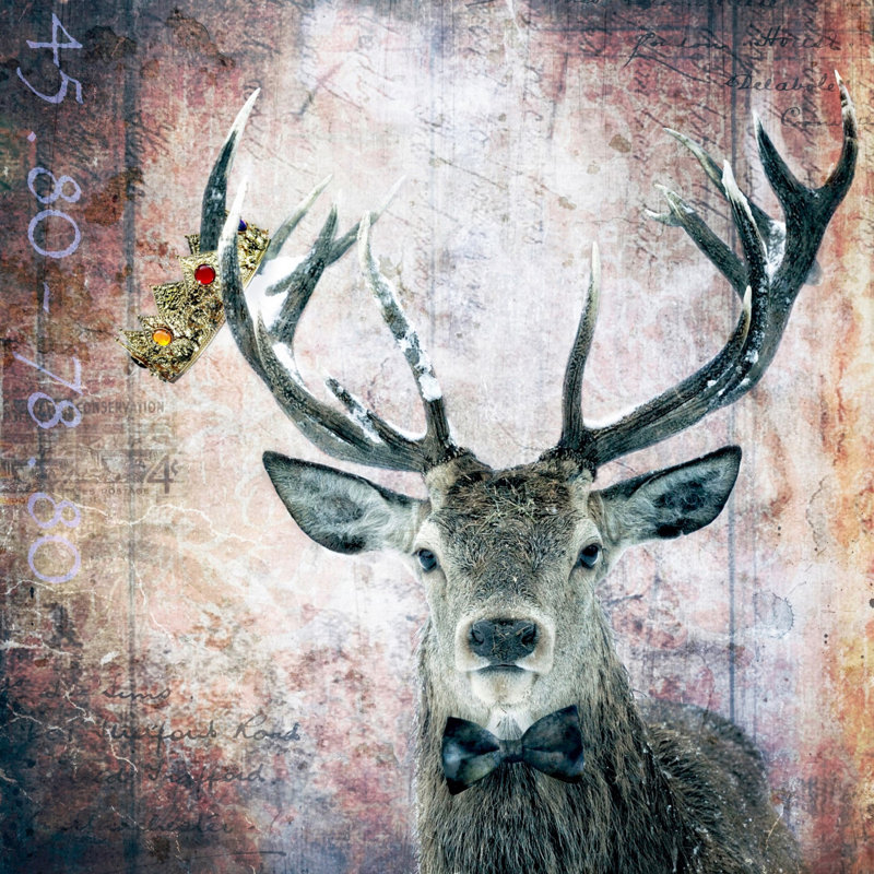 Morgan Jones - Wrapped Canvas Print, 81cm H x 81cm W x 3.81cm D
