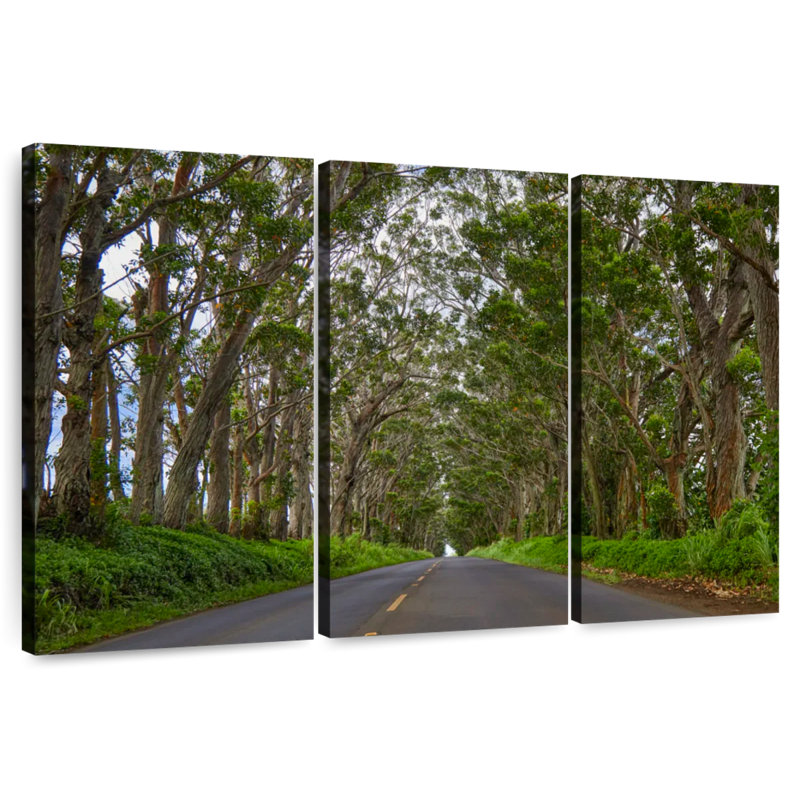 Mehar Kauai Tree Tunnel, 20" H x 33" W
