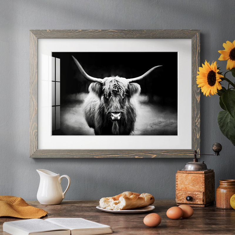 Reproduction photographique Highland C Best, H 26 po x l 38 po, Gris