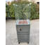 50000 Natural Gas Standing Patio Heater