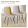 Modern Dining Chairs
