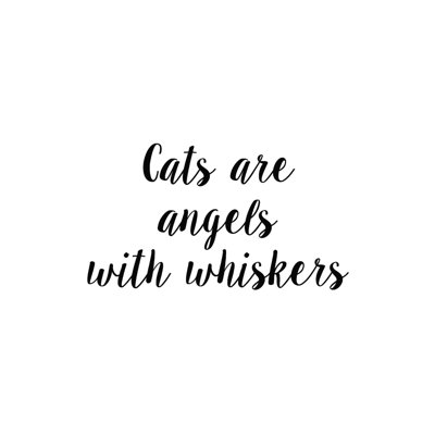 " Angels "