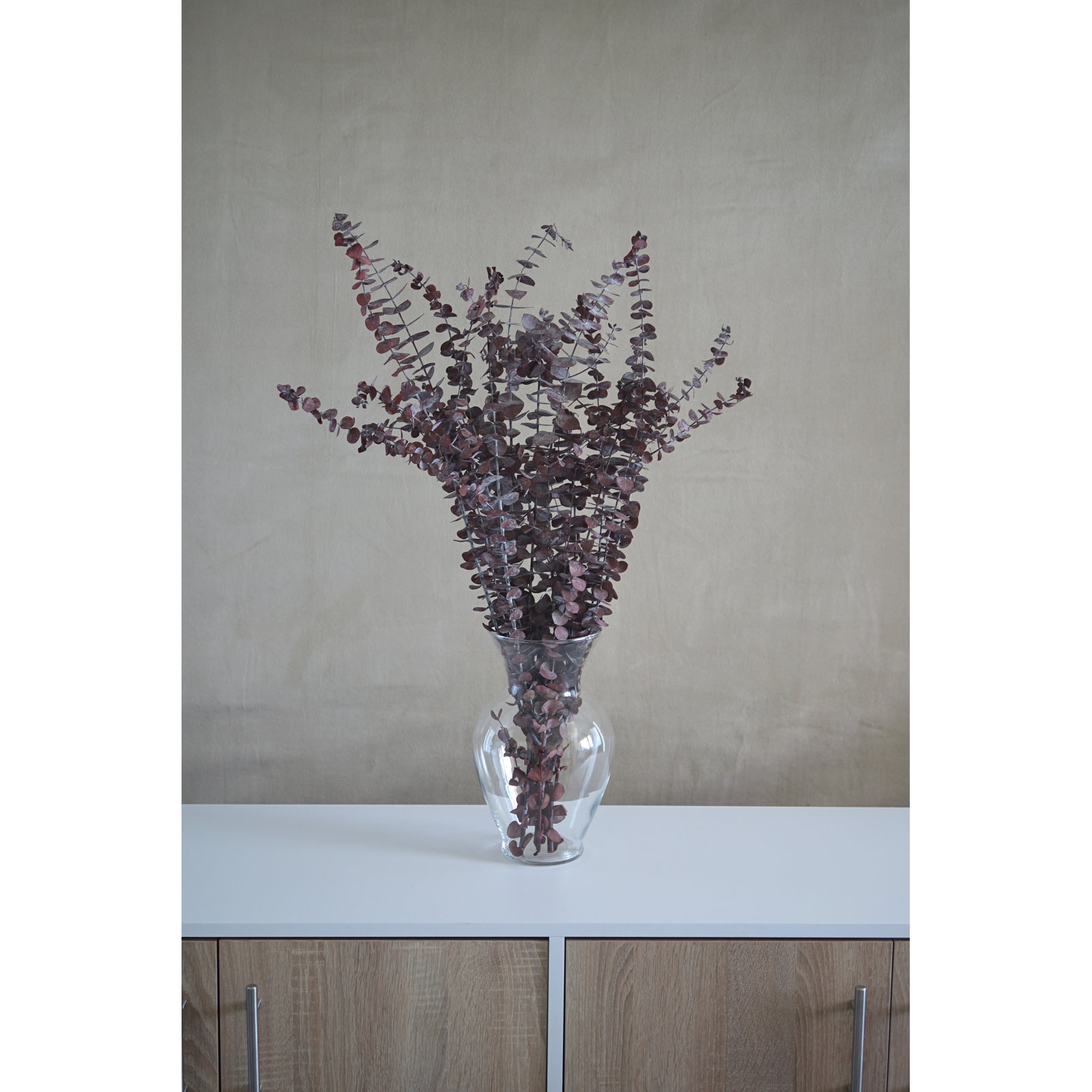 Preserved Green Eucalyptus, Red