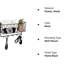 Alexiah Iron Wall Organizer