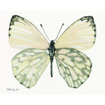 Papillon 2 - Impression sur toile tendue