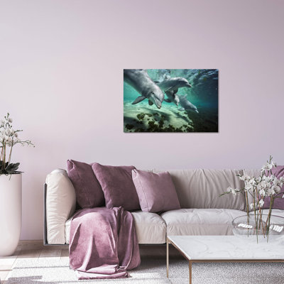 " Bottlenose Dolphin Pod, Hawaii " by Flip Nicklin