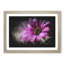 Purple Daisy - Picture Frame Graphic Art-56876060-56876063