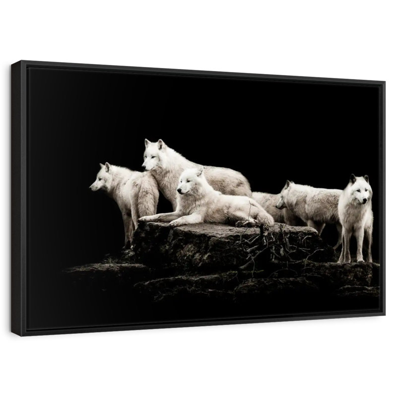 Loups blancs, Cadre flottant noir, 40 po x 27 po