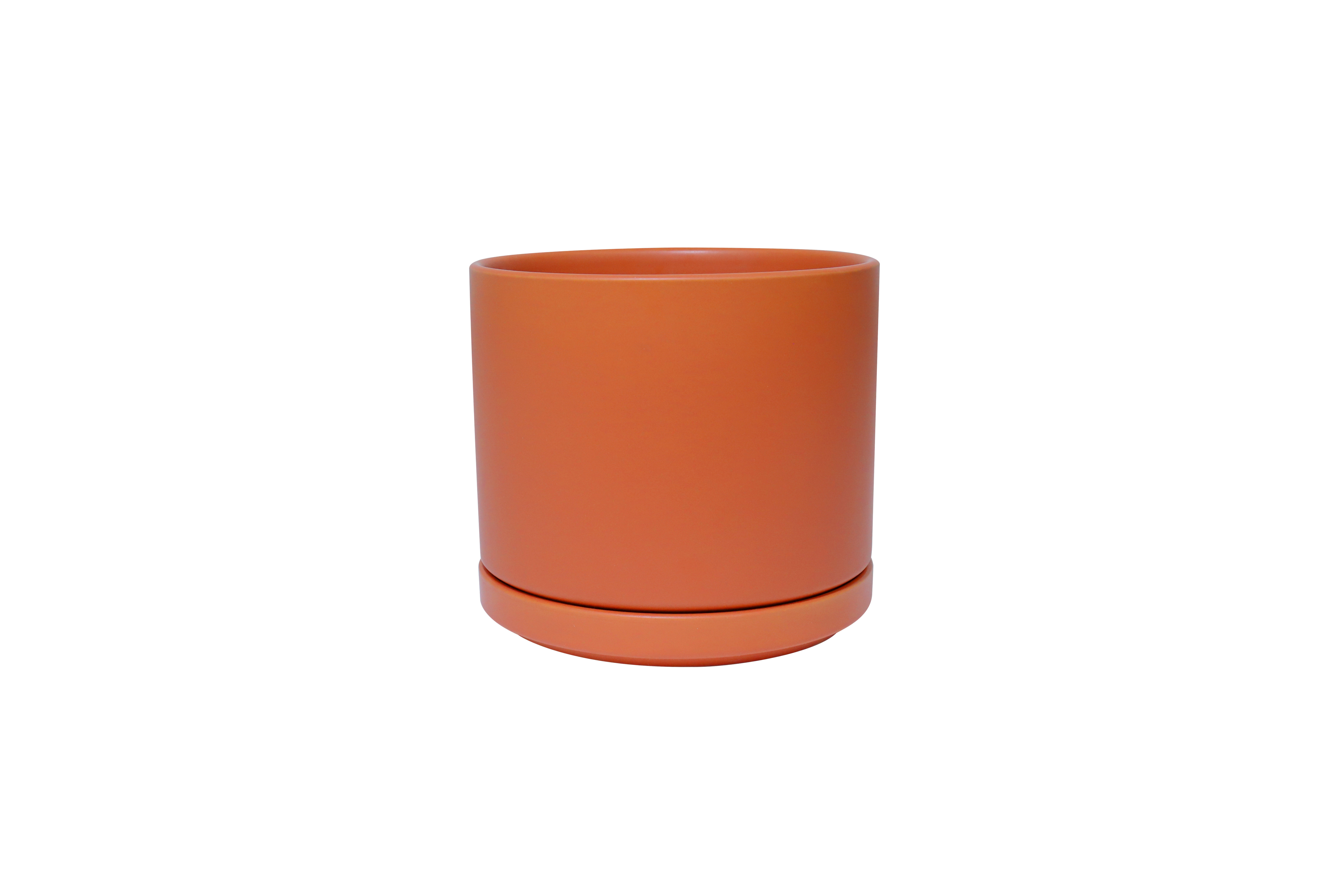 AllModern Cheryl Ceramic Pot Planter